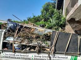 Best Hoarding Cleanup  in Meade, KS